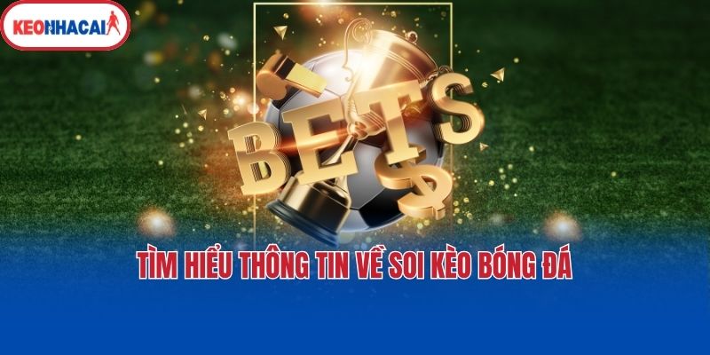 tim hieu thong tin ve soi keo bong da Tìm hiểu thông tin về soi kèo bóng đá